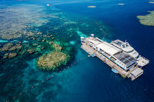 The Reef Magic pontoon boat beside Moore reef